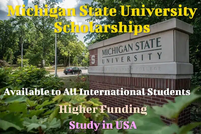 Michigan State University Scholarships