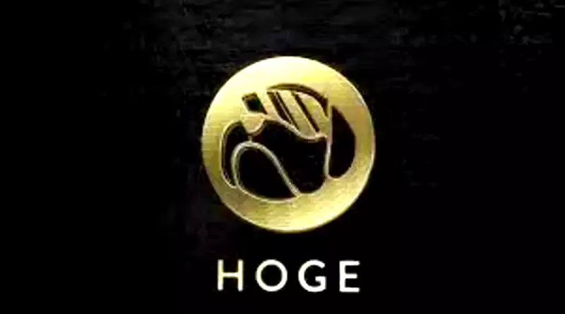 رمز HOGE: تمكين المستخدمين من ملكية المشروع
