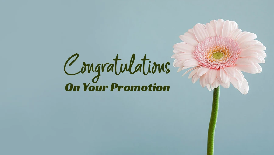 Congratulations Wishes on Promotion