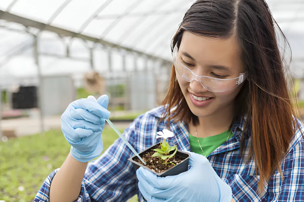 Vanier Canada Graduate Scholarships